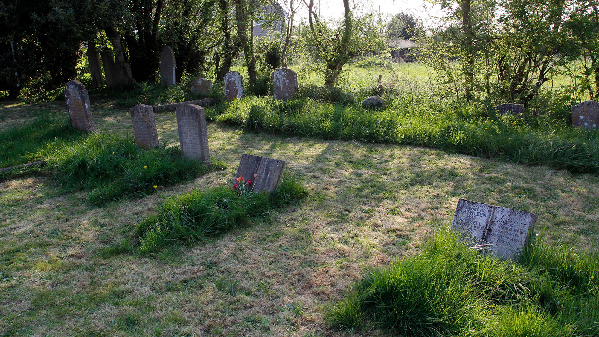 Yarışma: Personal Cinema görsel 0